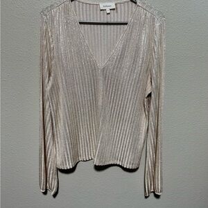 bohme Silver Metallic Ribbed V-Neck Long Sleeve Top